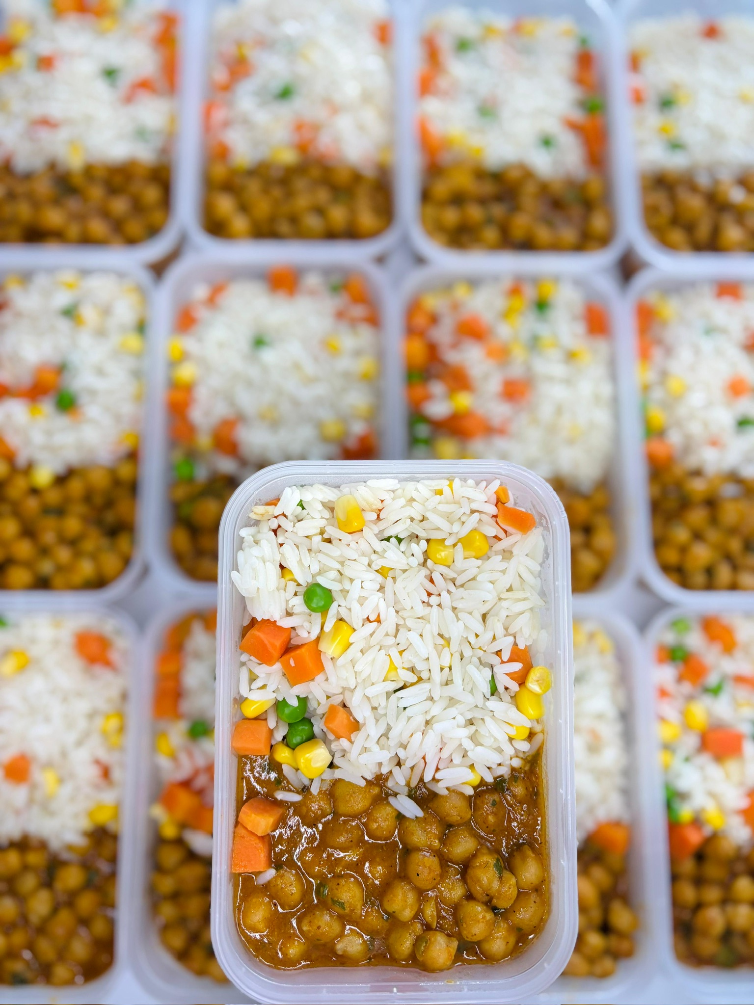 marmita-saudavel (10)